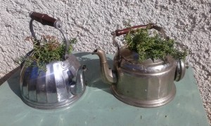 cafetière ancienne recyclage décoration récup vintage