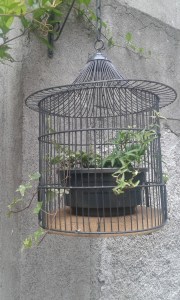 recup cage oiseau deco exterieure